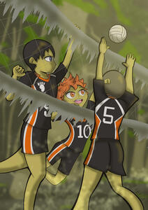 Swamp Volleyball Swamp Volleyball